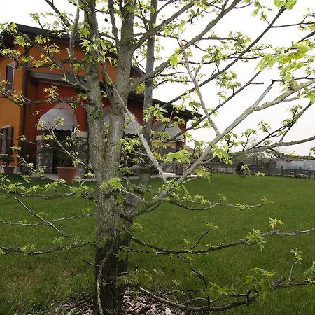 Bacche Di Bosco Lantgård Verona