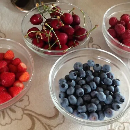 Bacche Di Bosco * Verona