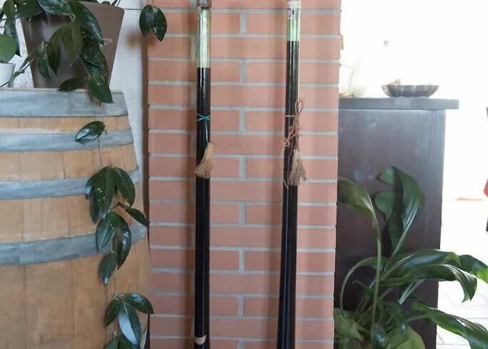 Bacche Di Bosco مزرعة للإقامة *